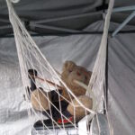 Ted got very dehydrated